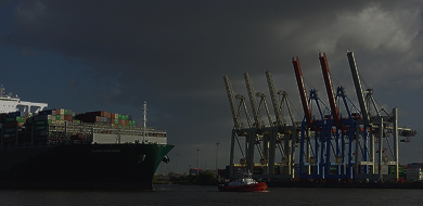 Морські перевезення FCL